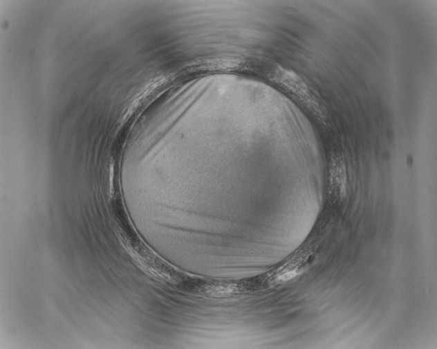 X0000058780110200510211758