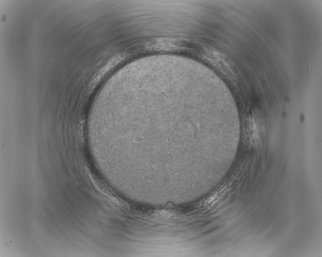 X0000058780111200510211758