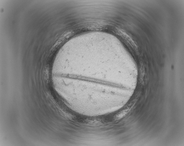 X0000058780113200510211758