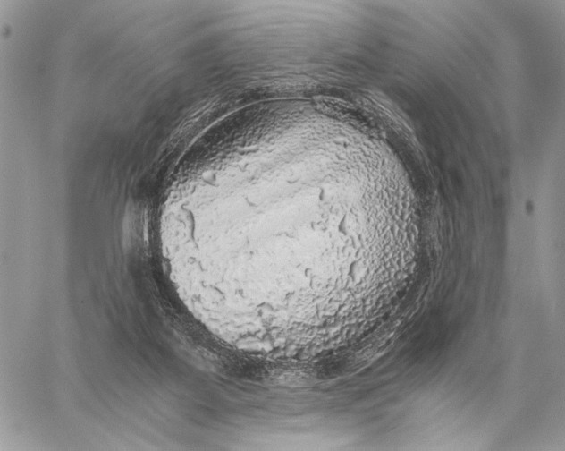 X0000058780115200510211758