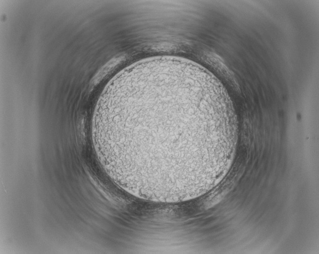 X0000058780116200510211758