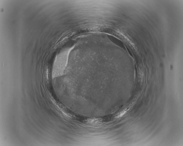 X0000058780117200510211758