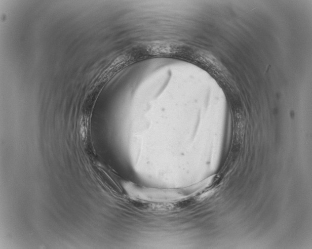 X0000058780125200510211758