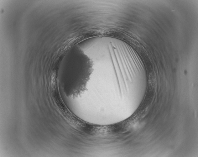 X0000058780127200510211758