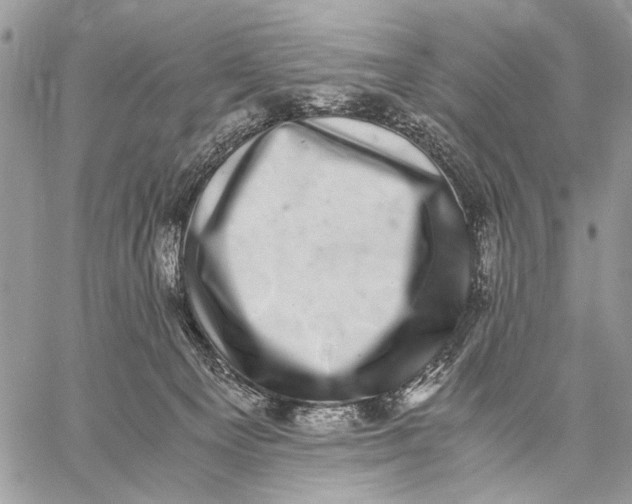 X0000058780129200510211757