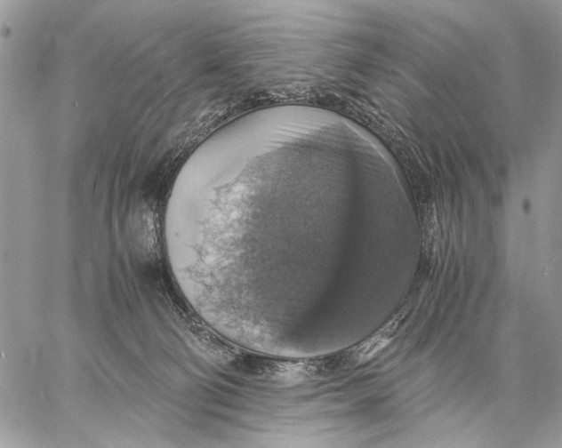 X0000058780130200510211757