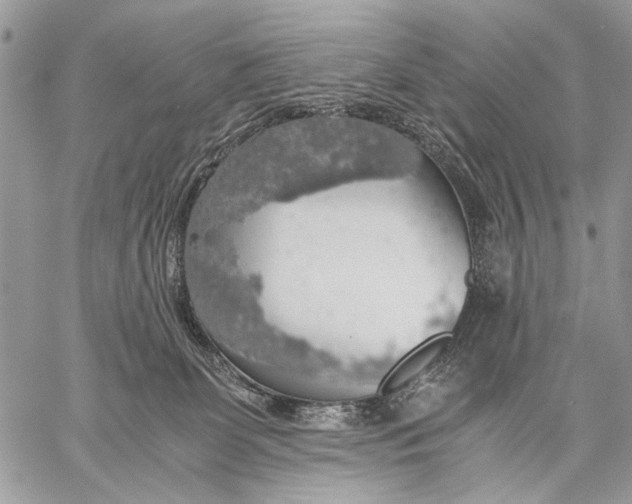 X0000058780131200510211757