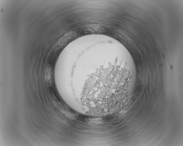 X0000058780132200510211757