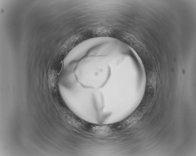 X0000058780133200510211757