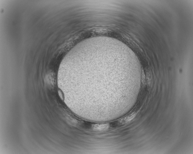 X0000058780135200510211757