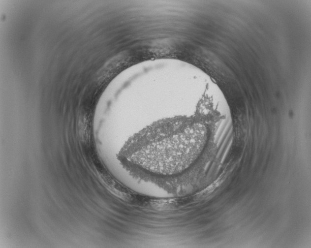 X0000058780136200510211757