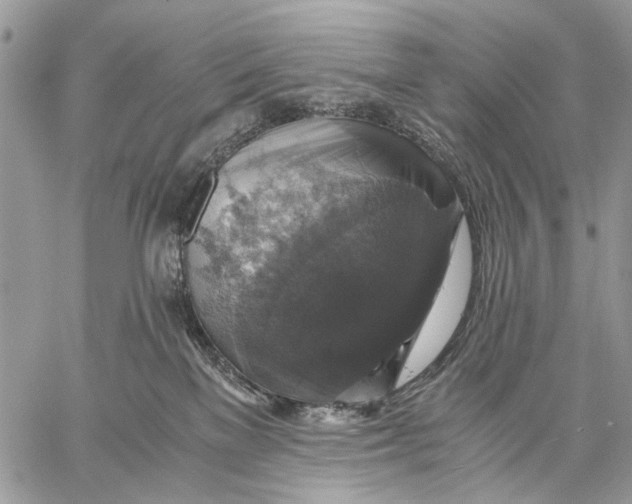 X0000058780137200510211757