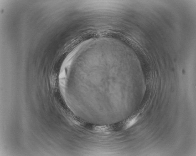 X0000058780139200510211757