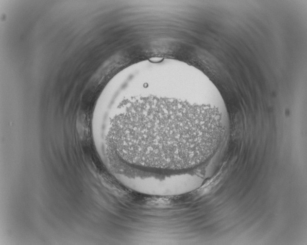 X0000058780140200510211757