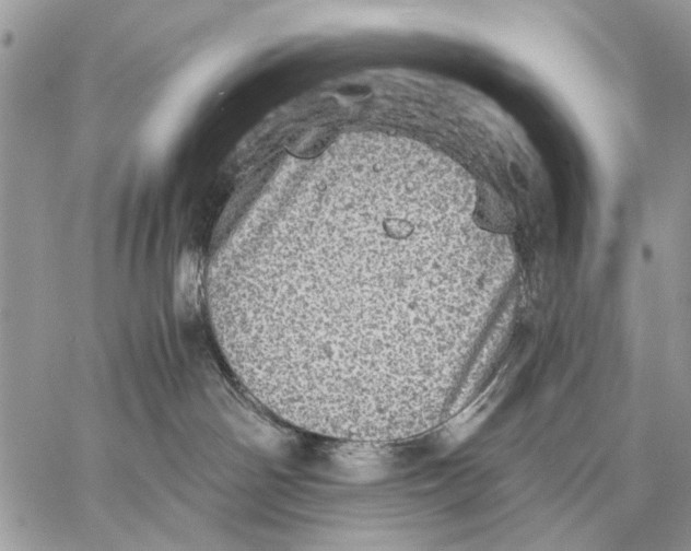 X0000058780142200510211757