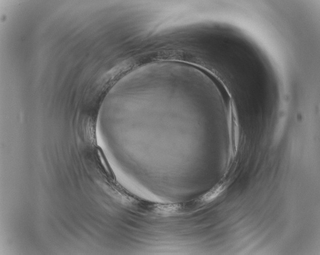 X0000058780143200510211757