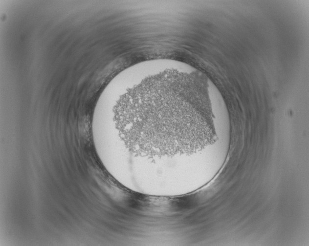 X0000058780144200510211757