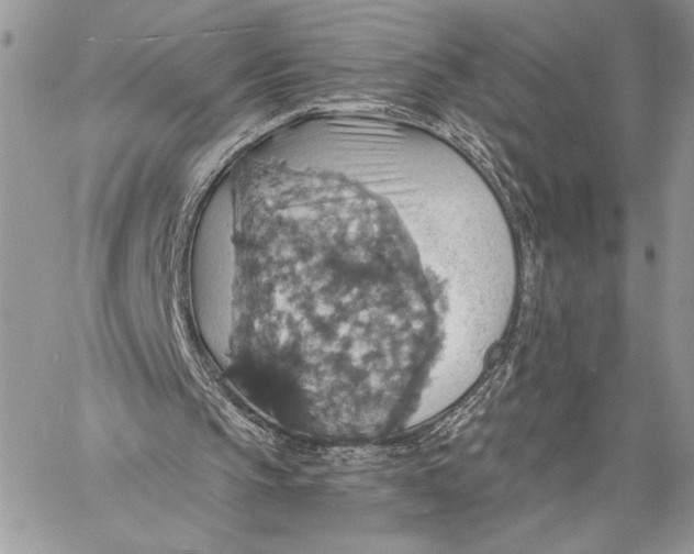 X0000058780145200510211756