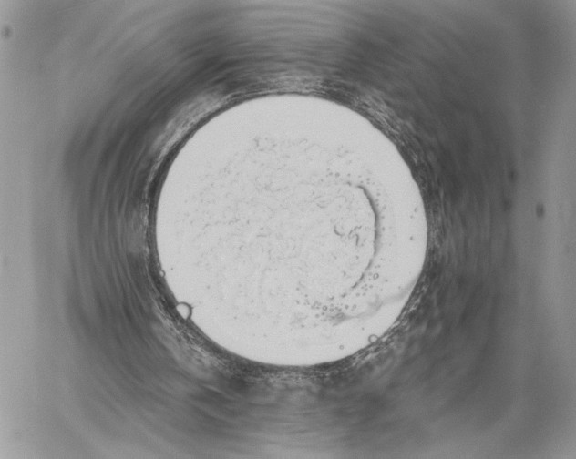 X0000058780146200510211756