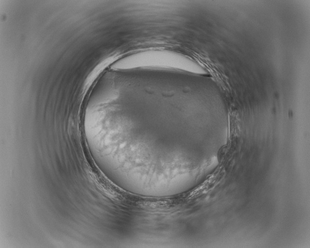 X0000058780147200510211756