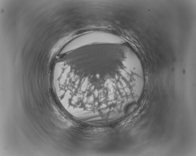 X0000058780149200510211757