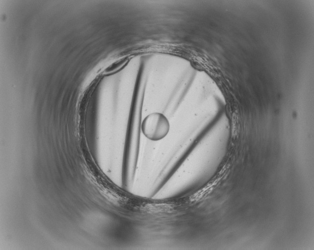 X0000058780150200510211757