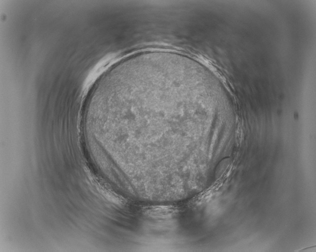 X0000058780151200510211757