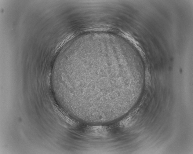 X0000058780153200510211757