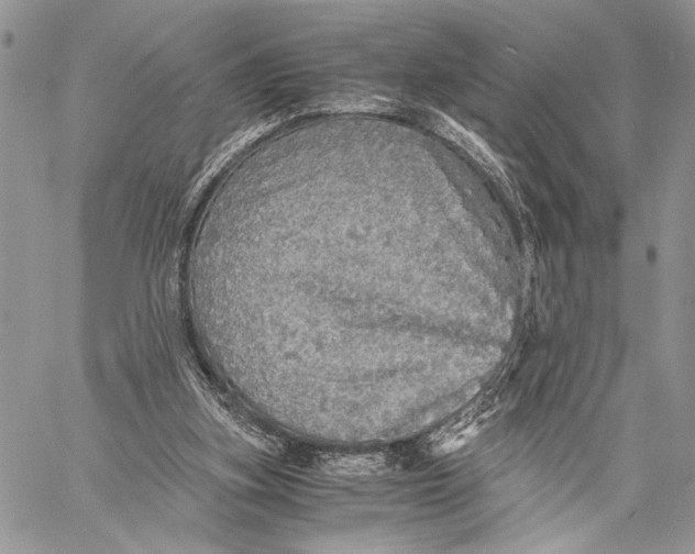 X0000058780155200510211757