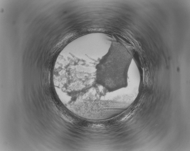 X0000058780157200510211757