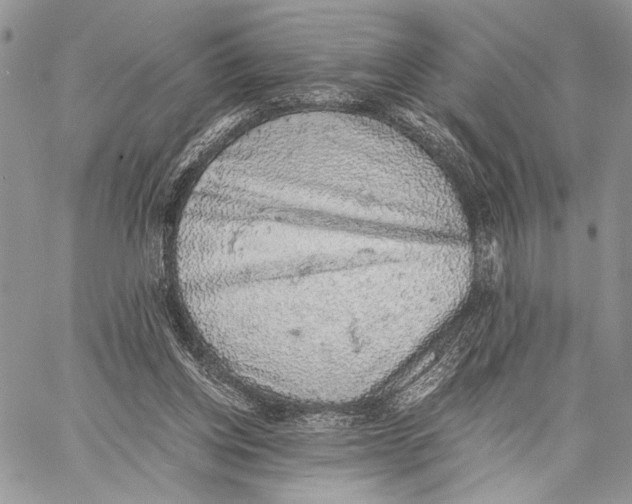 X0000058780158200510211757