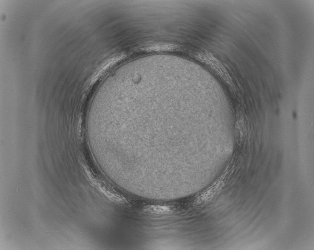 X0000058780159200510211757