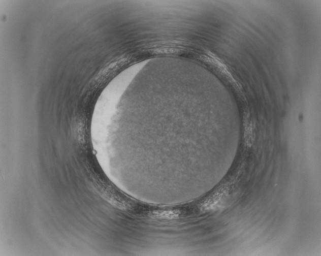 X0000058780161200510211757