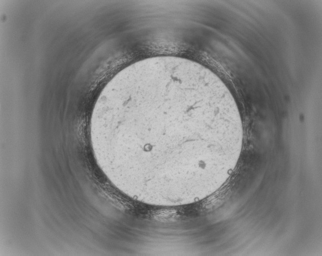 X0000058780162200510211757