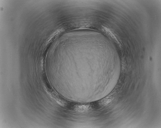 X0000058780163200510211757