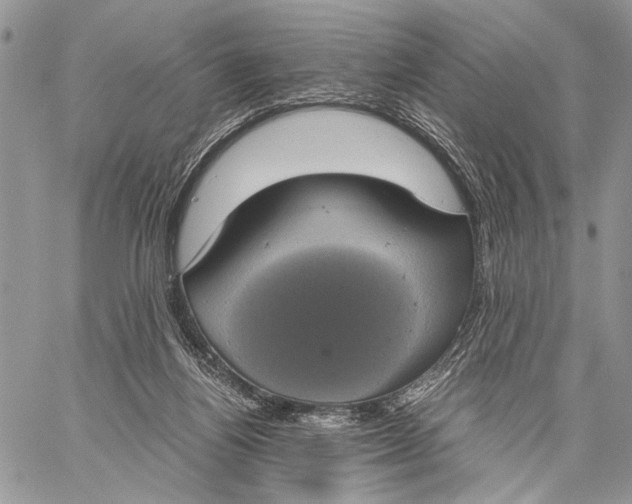 X0000058780164200510211757