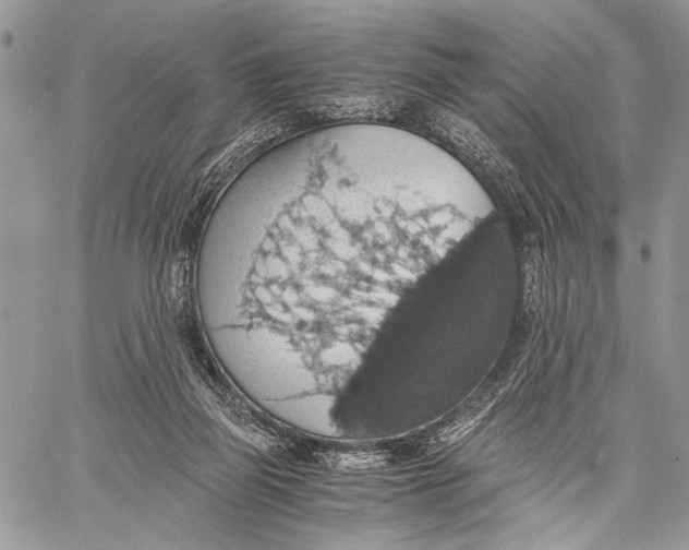 X0000058780165200510211757