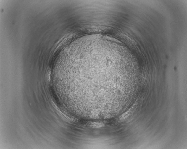 X0000058780166200510211757