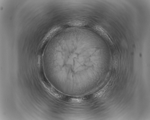 X0000058780167200510211757