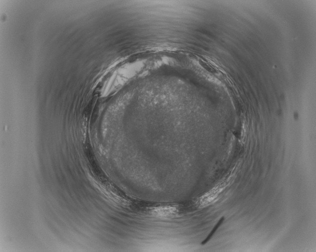 X0000058780168200510211757