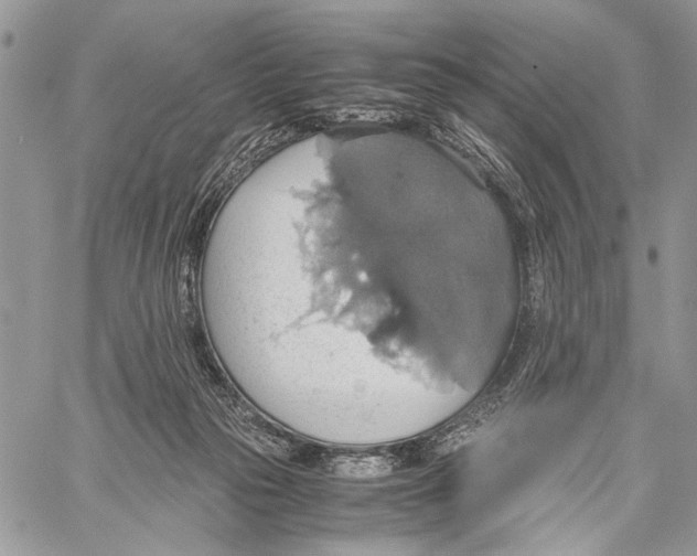 X0000058780169200510211757