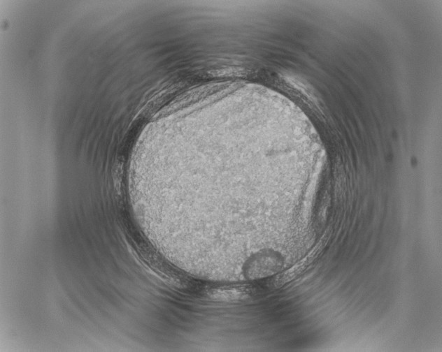 X0000058780171200510211757