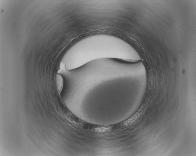 X0000058780172200510211757