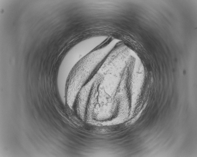 X0000058780174200510211757