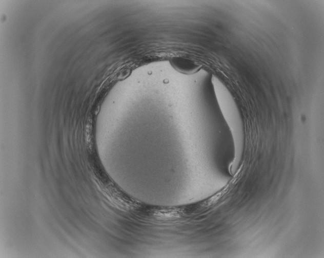 X0000058780175200510211757