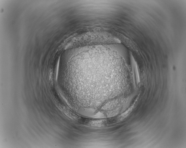 X0000058780178200510211757