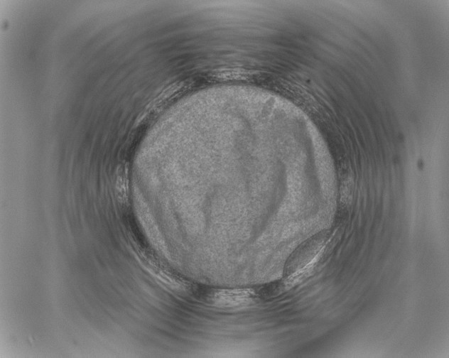 X0000058780179200510211757