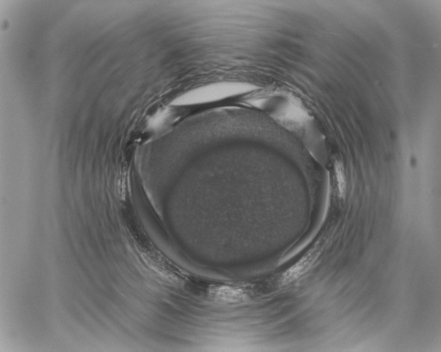 X0000058780180200510211757