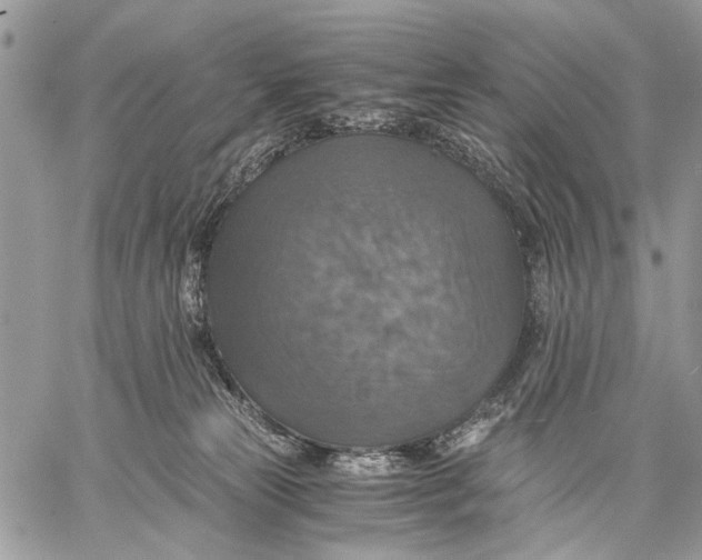 X0000058780181200510211757