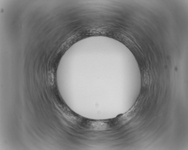 X0000058780183200510211757